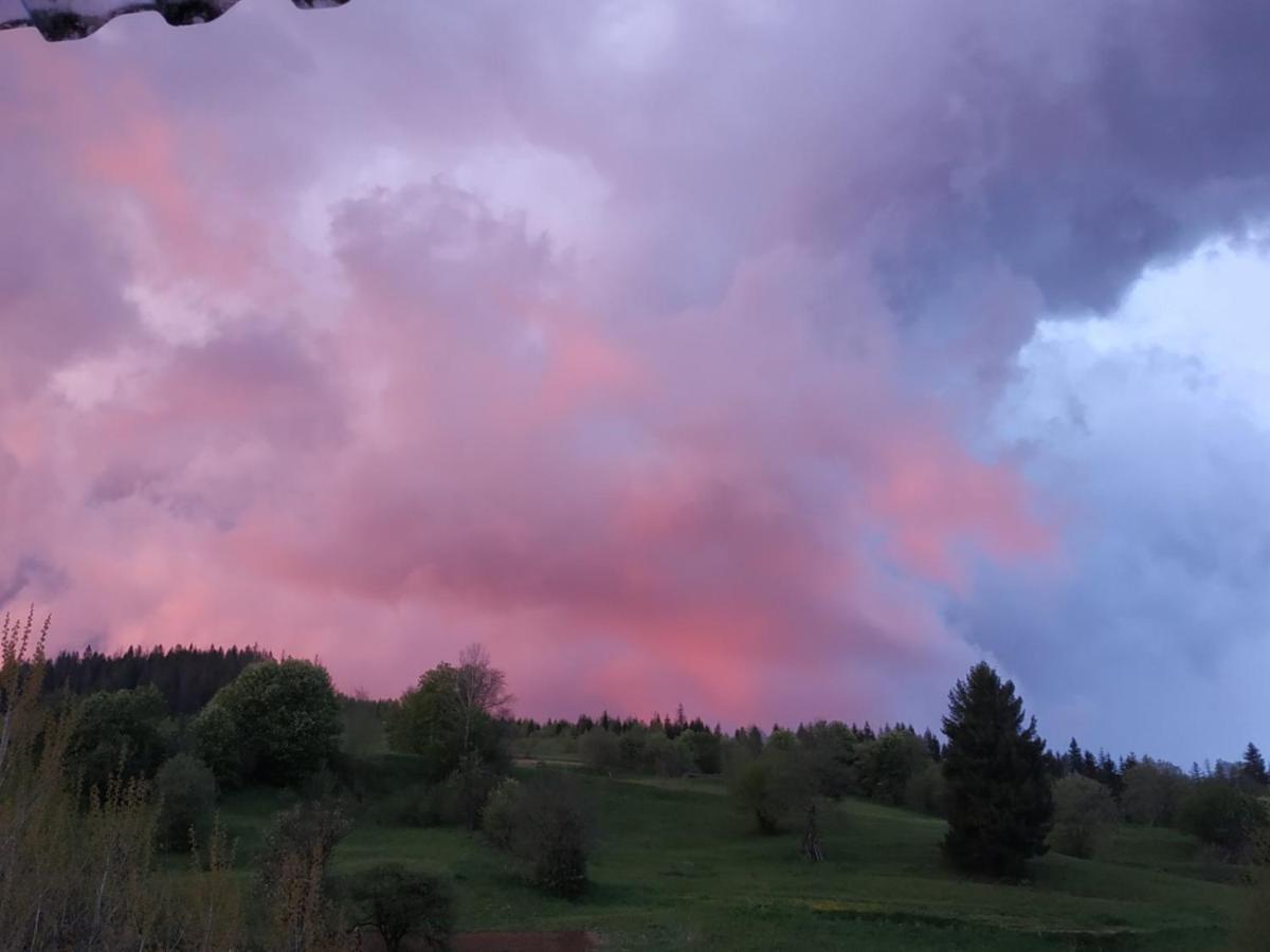 Біля Витягу Slavsko Exterior foto