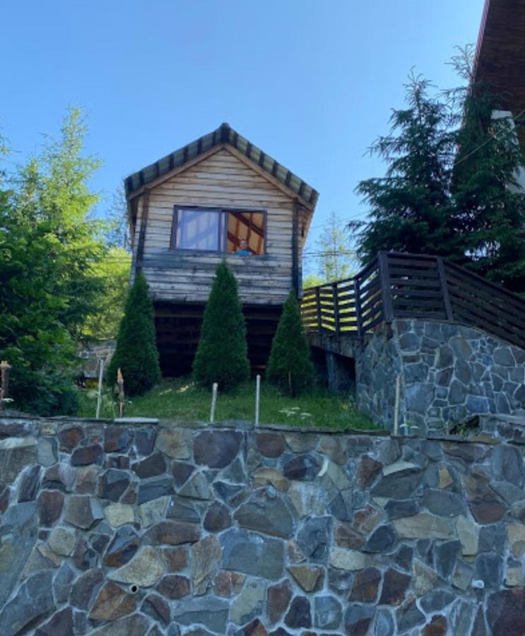 Біля Витягу Slavsko Exterior foto