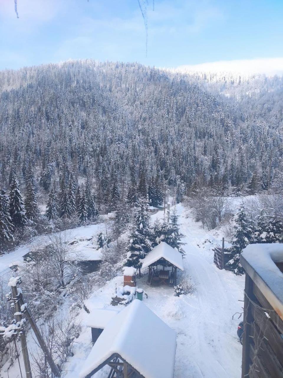Біля Витягу Slavsko Cameră foto