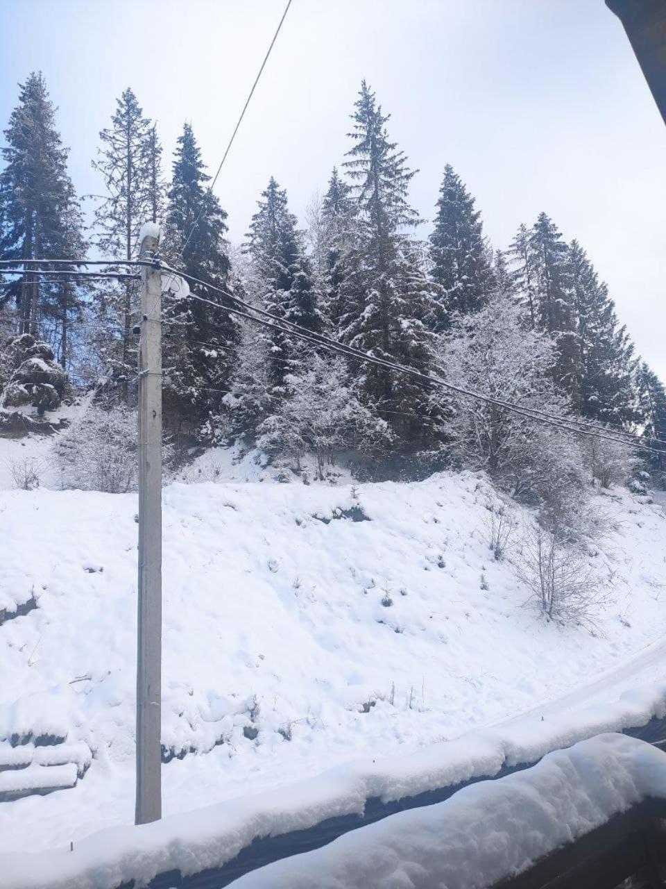 Біля Витягу Slavsko Cameră foto