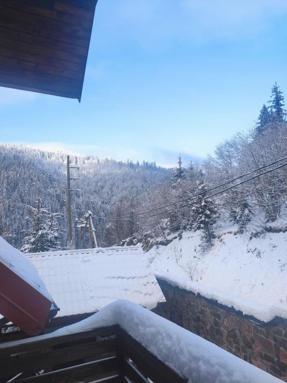 Біля Витягу Slavsko Cameră foto